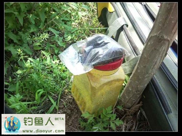 钓鱼技巧