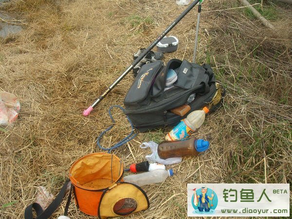 涡河钓大鲫鱼