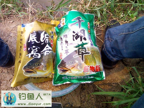 鱼塘钓草鱼