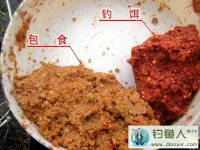 白条鱼闹窝怎么处理