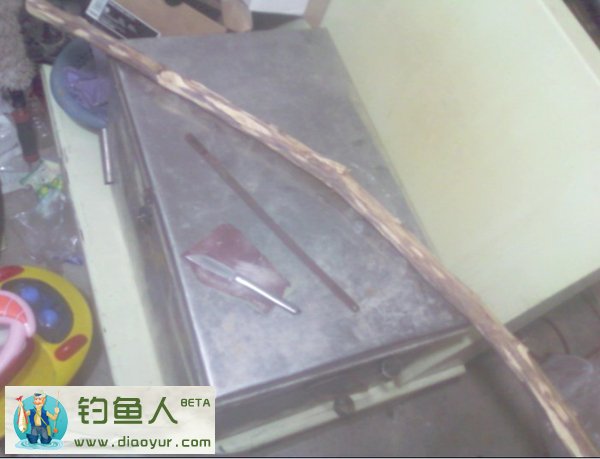树干