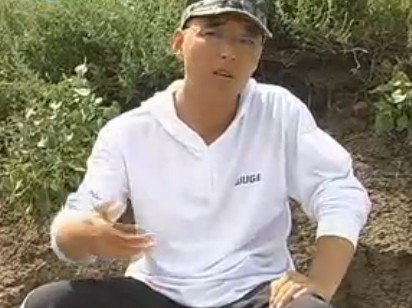 想钓鱼跟我走第一季38 夏天池塘手竿钓鲢鳙技巧教学