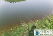 长寿湖垂钓鲫鱼鲤鱼鲶鱼黑鱼桂鱼黄颡鱼一个不少