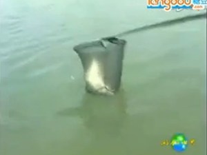 老鬼易哲钓草鱼技巧 [视频]