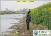 野河用红虫爽钓野生大板鲫鱼[钓鱼工作室]