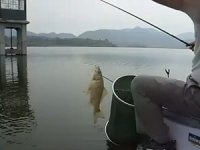 钓友在武穴崇山水库轻钓鲫 [视频]
