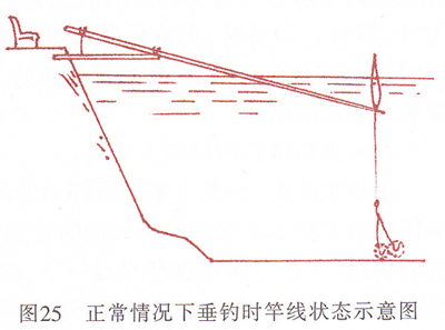 台钓鲫鱼示意图.jpg