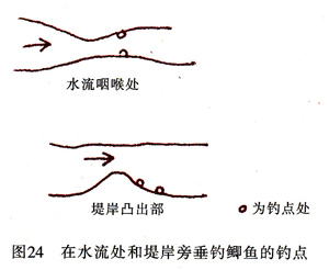 台钓鲫鱼钓点选择.jpg