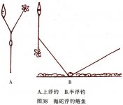 钓鲢鱼和鳙鱼的技巧大全以及经验