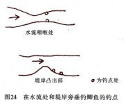 高手推荐鲫鱼的最全垂钓技巧