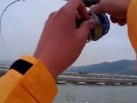 钓友初春珠海蚝排筏钓大丰收鲷科鱼和鳊鱼 [视频]