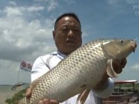 王桂龙南昌钓大鲤鱼-钓大鱼不是梦[视频]