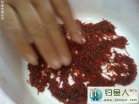 黑坑竿塘钓鲫鱼必杀饵红虫拉饵分享