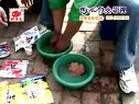 四海钓鱼饵料兵工厂之钓鲤鱼饵料配方[视频]