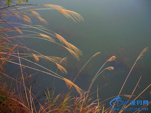 DSCN4925.JPG