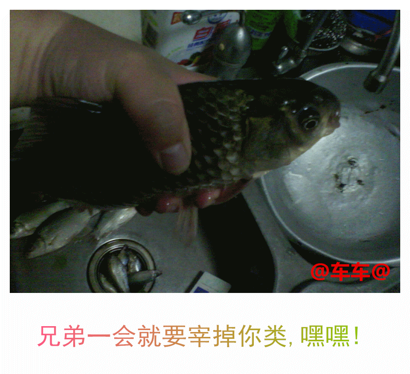 特写.gif 特写.gif