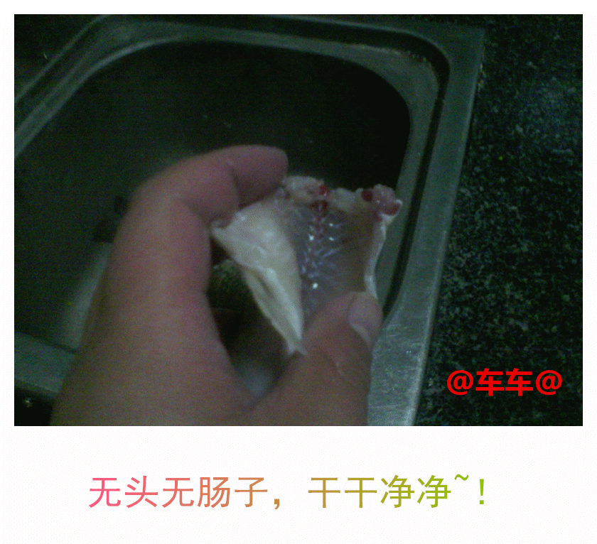 奶鲫肚子.gif 奶鲫肚子.gif