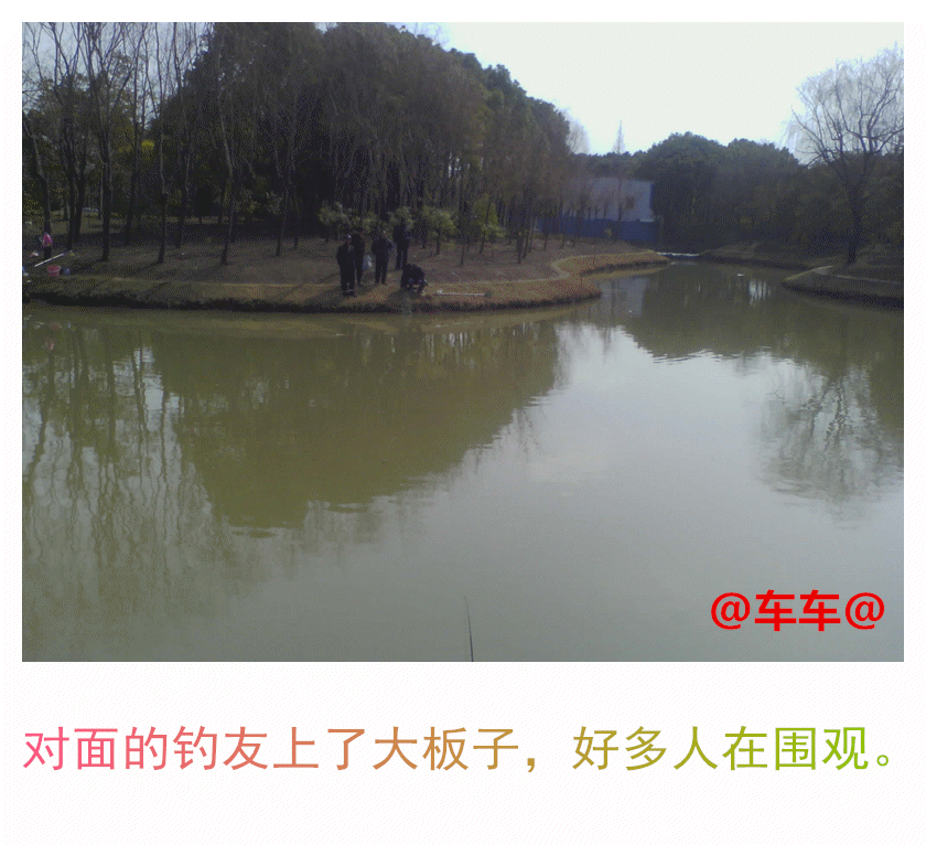 钓友.gif 钓友.gif