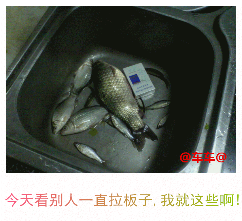 寥寥鱼获.gif 寥寥鱼获.gif