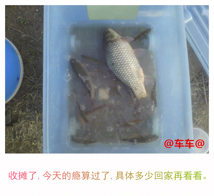鱼获.gif 鱼获.gif