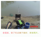 车车和老牛春季顶级窝料钓鲫鱼