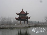 “河边老者”水边塘钓 鲫鲤狂拉