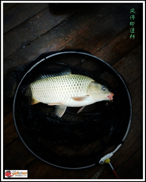 风停连杆.jpg 风停连杆.jpg