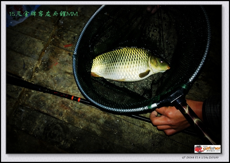 15尺金牌客友与鲤MM.jpg 15尺金牌客友与鲤MM.jpg