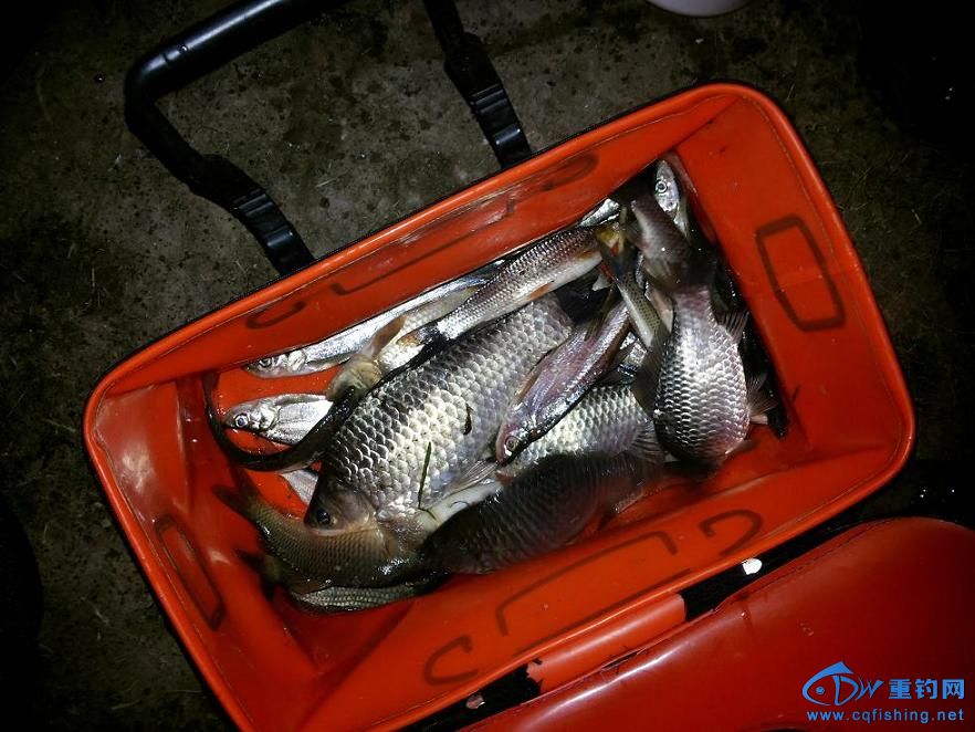 20140222_193209.jpg