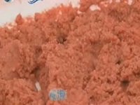 老鬼湖库深水钓大鲫鱼饵料配方 [视频]