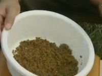 用颗粒和颗粒粉制作钓浮拉饵方法[视频]