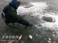 激战冰钓之收服鲫魔篇[晴川剑]