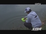 游钓中国第61集 海南琼海3 雨中奋战获鲤鱼 20131221