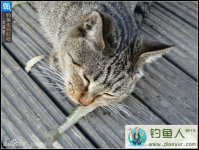 野钓你是否遇到过如此情景-渔乐无限
