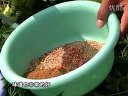 化校教练王超杆坑大战鲤鱼技巧[视频]