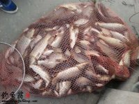 大师的钓饵配方五项基本原则