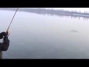 小汐钓鱼-水库路亚大翘嘴，大鲈鱼[视频]