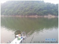 水库双竿钓法-钓获鲶鱼鲫鱼和翘嘴