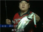 雪野水库夜晚米诺路亚钓翘嘴鲌鱼[视频]