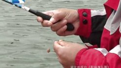 钓鱼天天讲之搓饵拉饵的方法[视频]