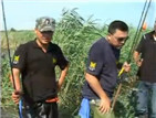 红旗泡水库芦苇湿地铅笔路亚黑鱼记[视频]