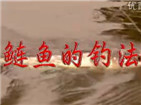 钓鱼技巧全攻略4之如何钓鲢鱼鳙鱼 [视频]