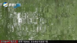 《去钓鱼》之黑坑江湖 第7集（万丰）钓鲤鱼钓竿选择 [超清视频]