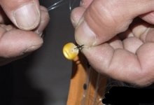 用玉米粒作饵钓鱼方法详解 [推荐]