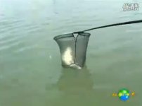 来看看大师如何钓草鱼的-老鬼教练易哲[视频]