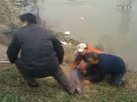 三哥们断线两次合力钓上超大青鱼 [视频]
