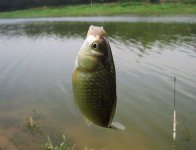 天元徐银舟教你如何搓饵的技巧 [视频]