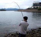千岛湖抛竿钓20多斤的鲢鳙全过程 [视频]