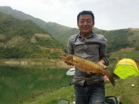 海竿炮阵-六郎水库狂拉大草鱼大鲤和大翘嘴