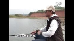 遍钓天下：大冶水库钓鲢鳙 邓刚讲饵料 [视频]